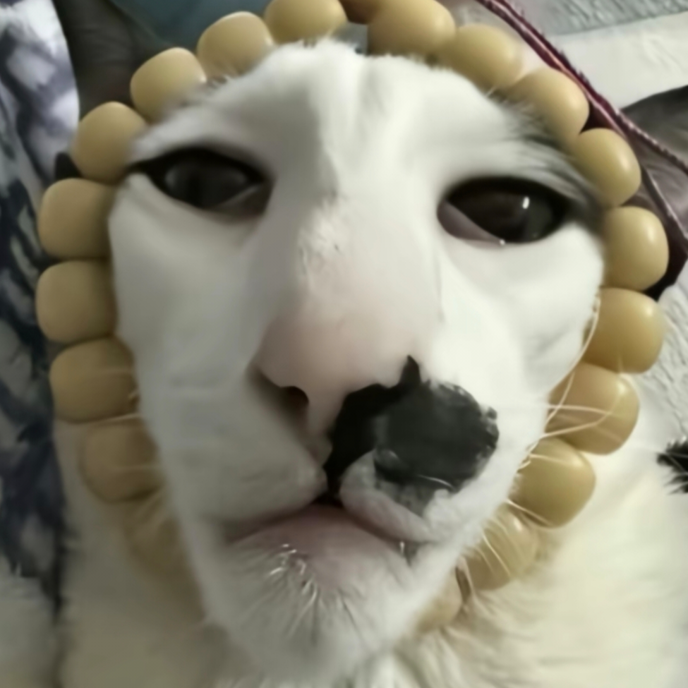 玩偶