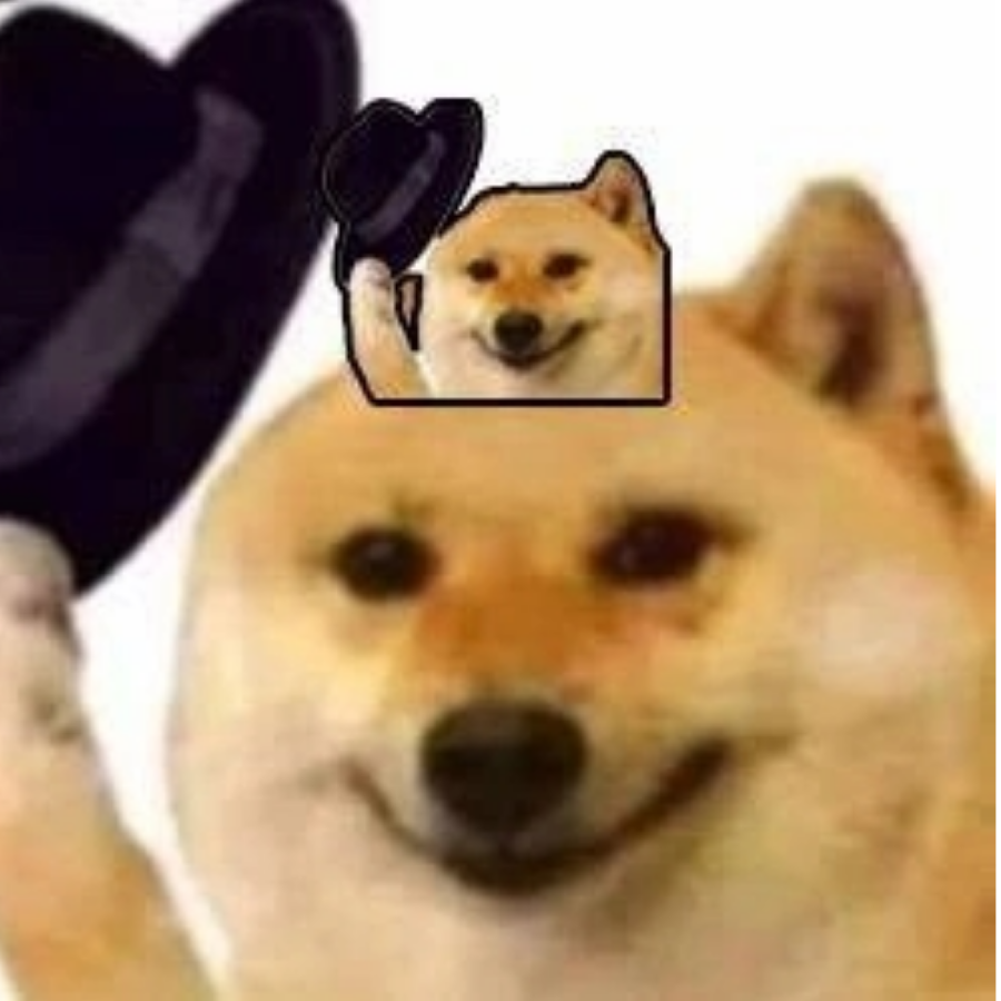 咸鱼板命