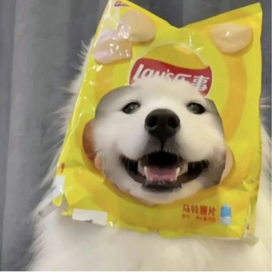 海.