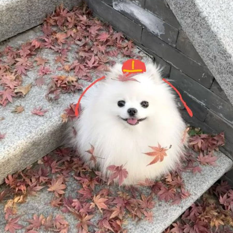 椿湫求带带_(:з」∠)_