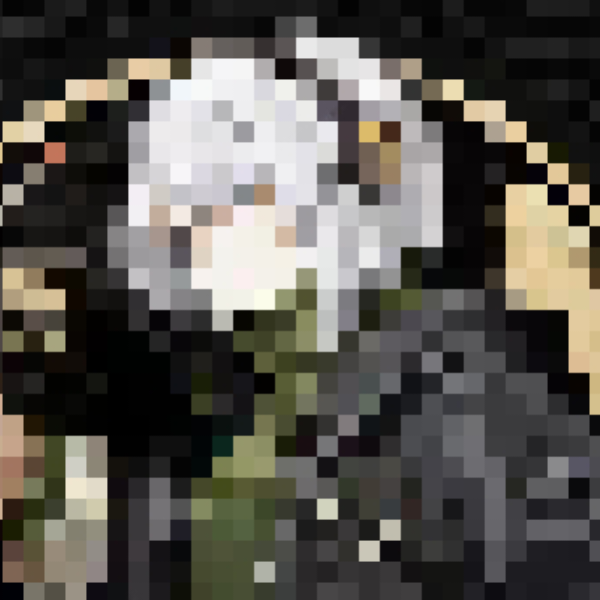 谢露