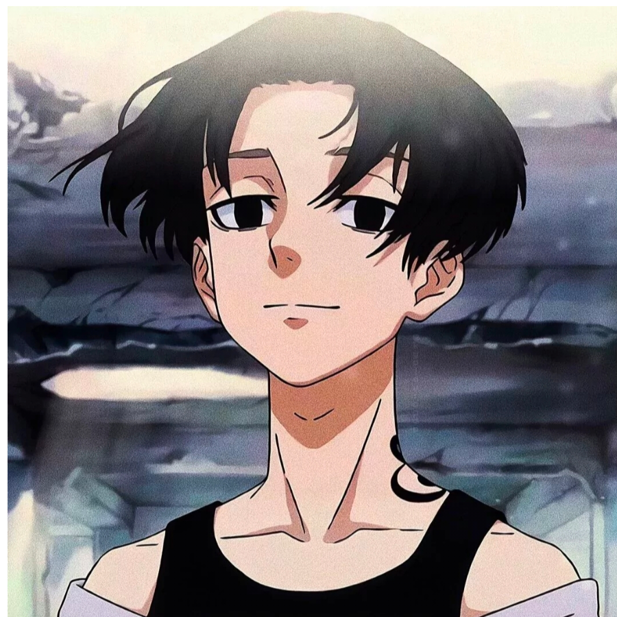 長毛鬣狗