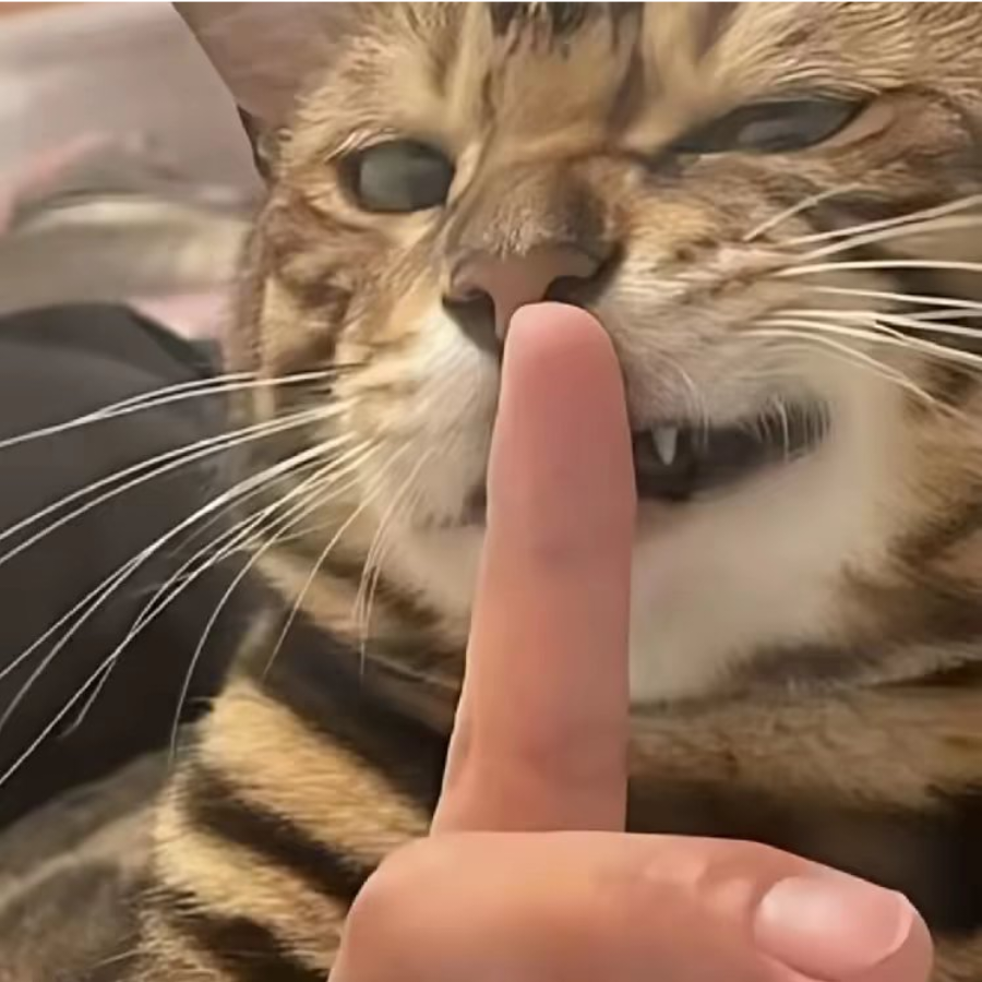 明