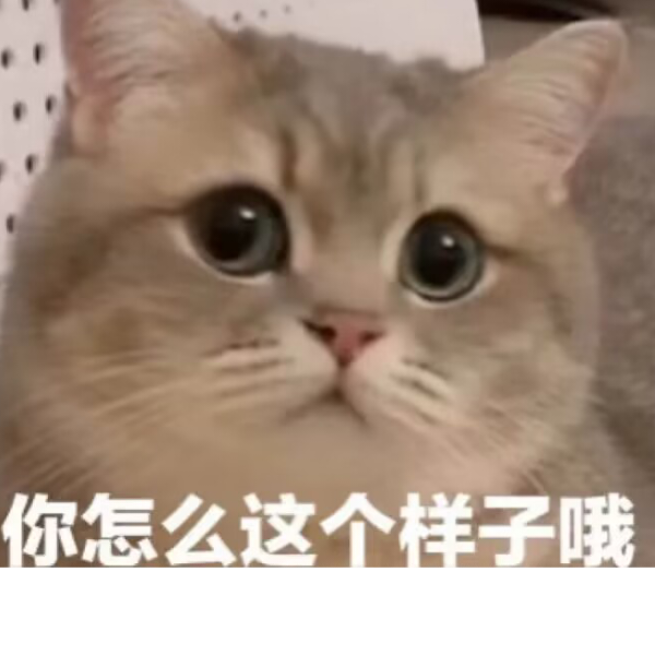 C调