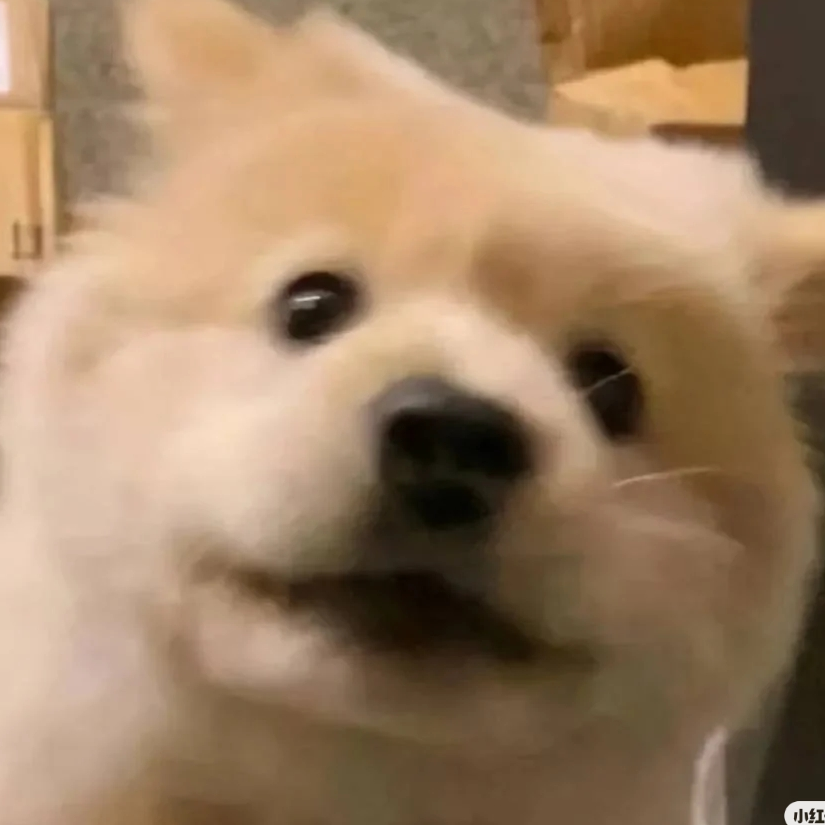 欣欣爱吃糖