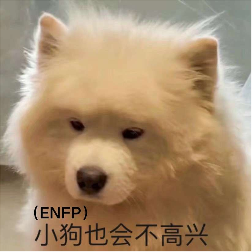 木豆梪