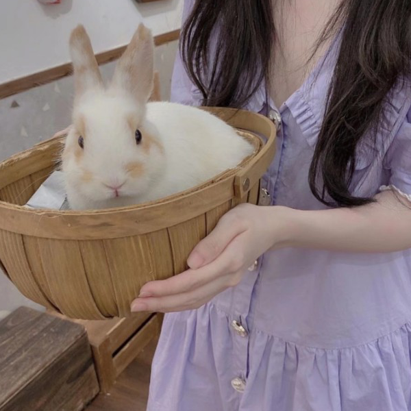 九九