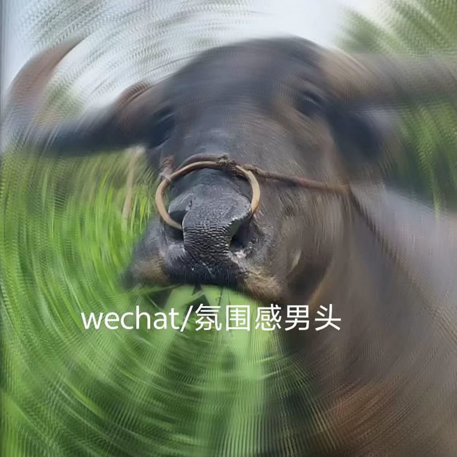 零辰.