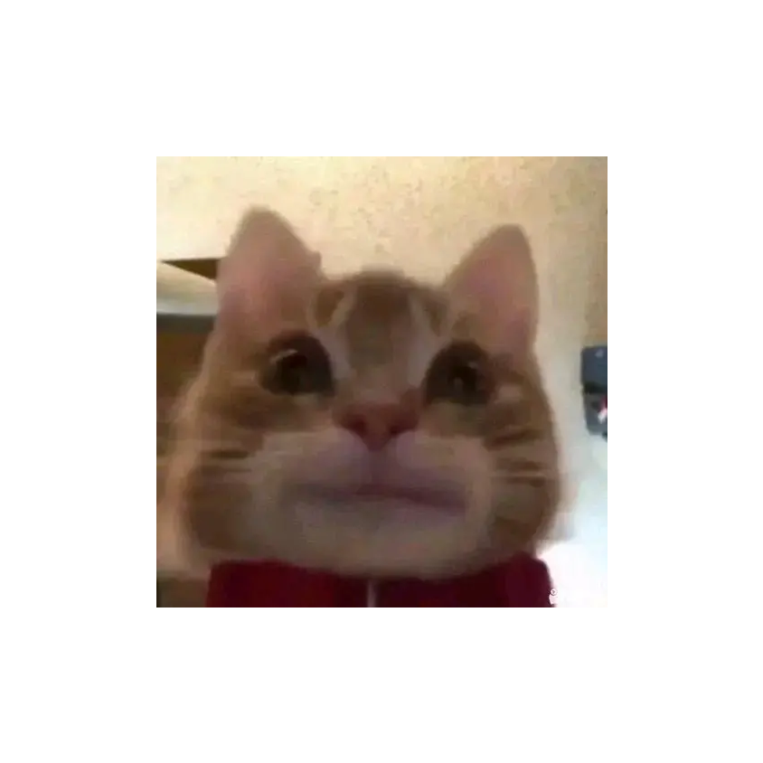 太昆