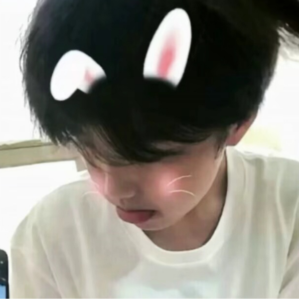 半眠日记