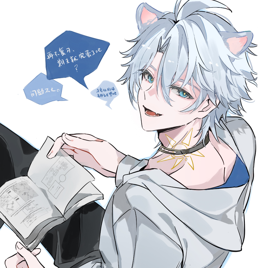 薄荷小猫