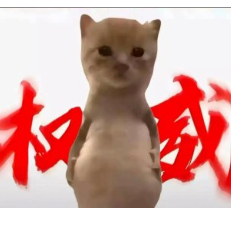 貓崽