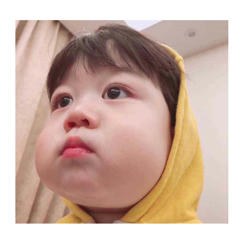 孤芳自赏