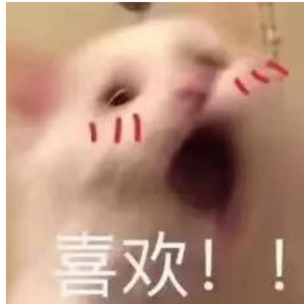 伊染儿🐰