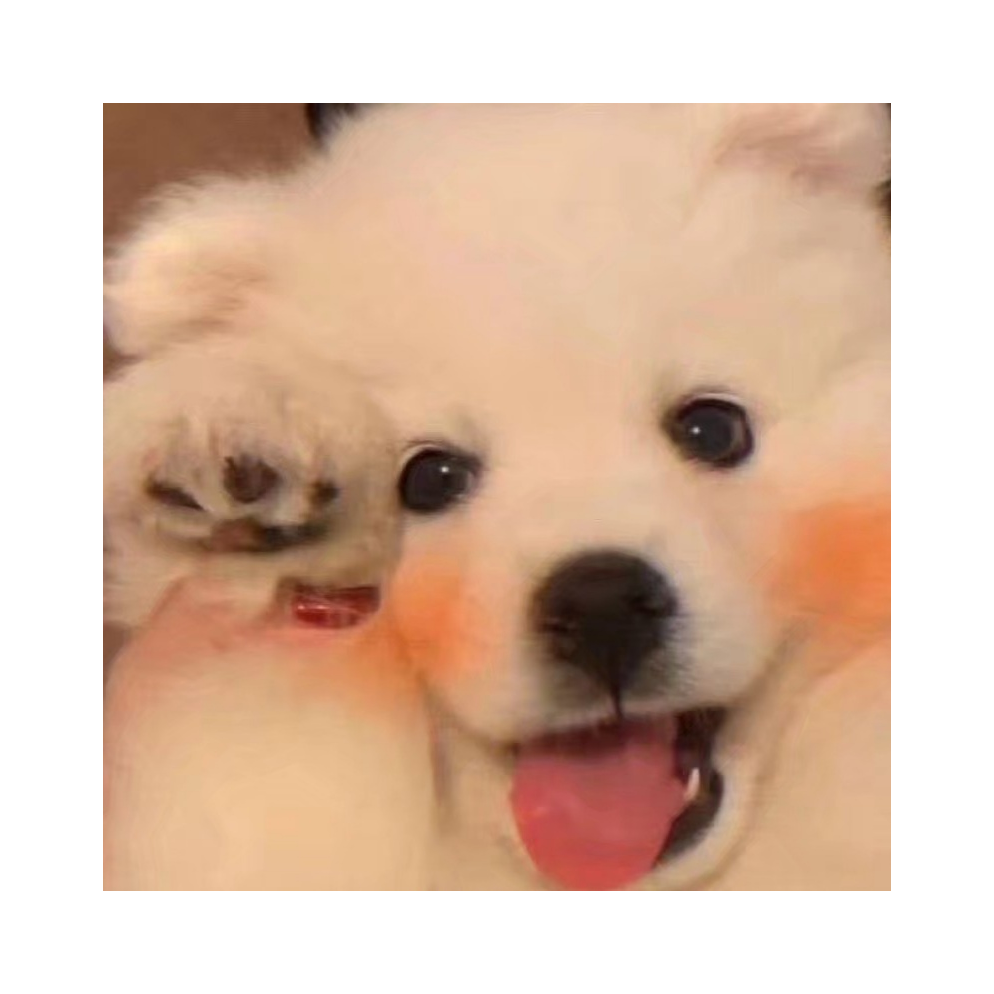 小狗炸鱼