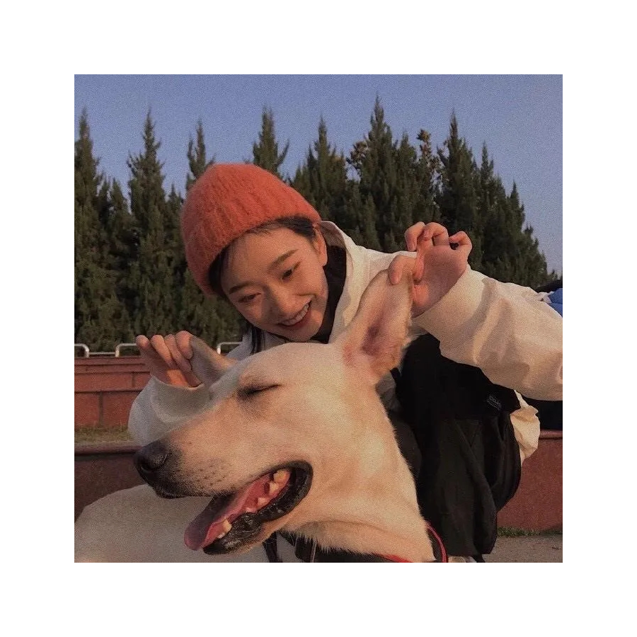 肆-