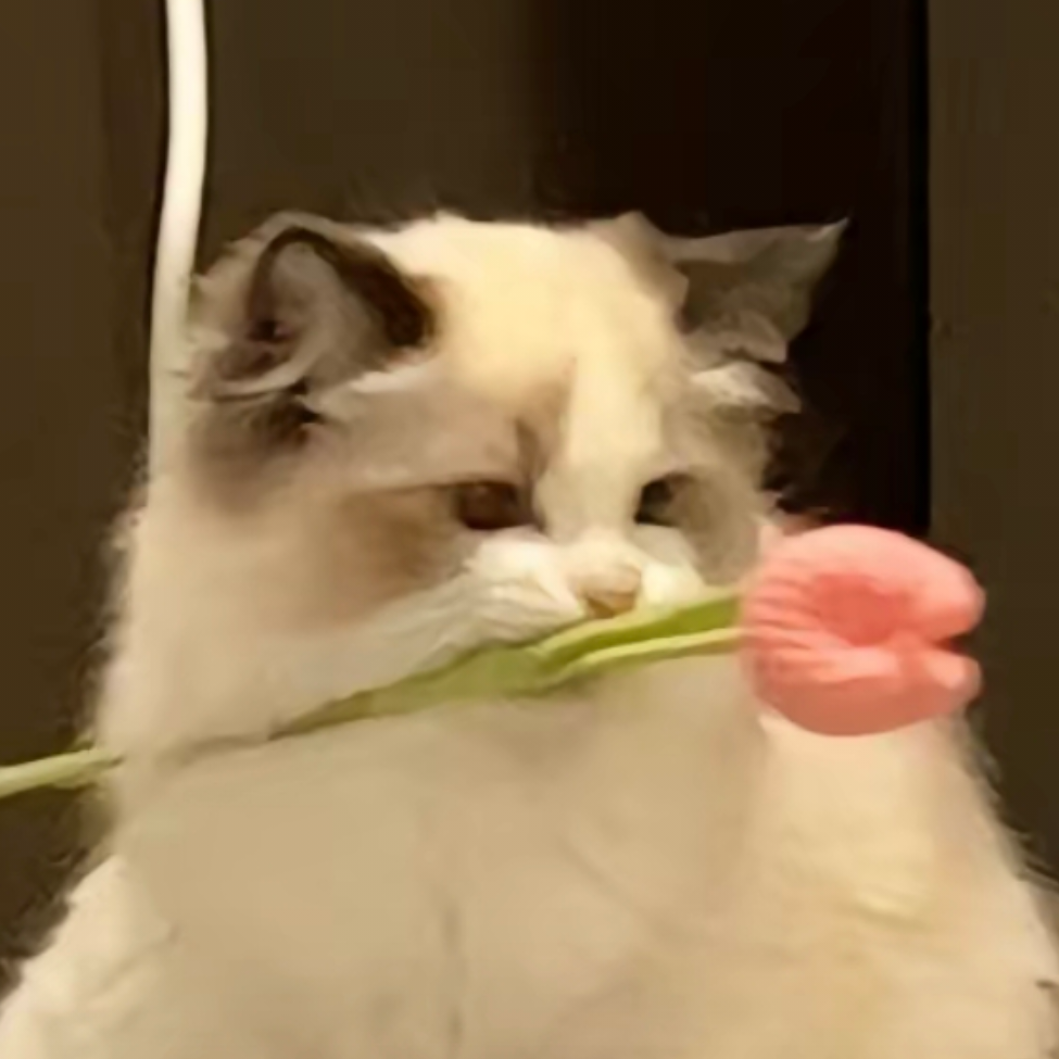 太闹腾