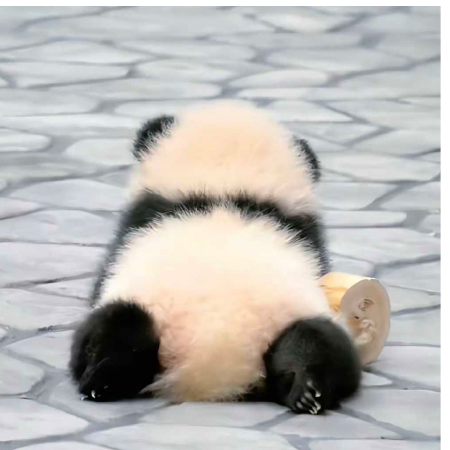 哇哦
