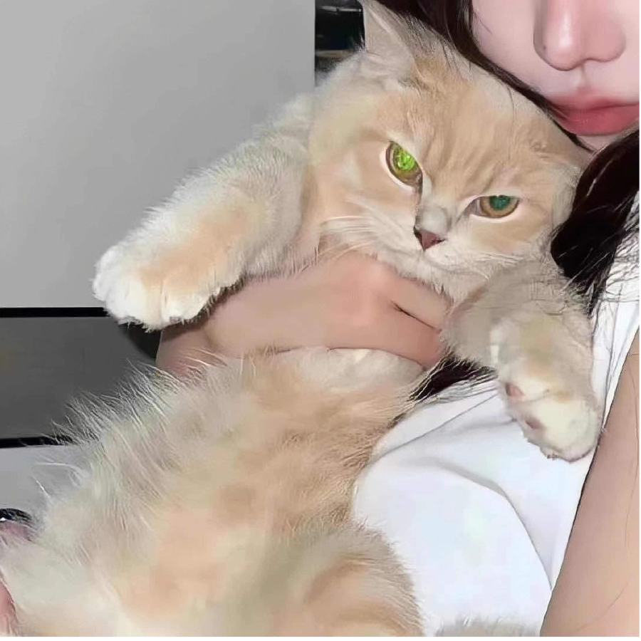 宝宝