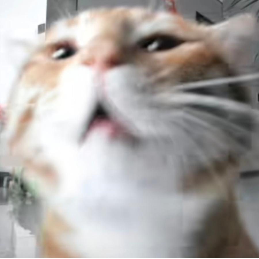 旗欧