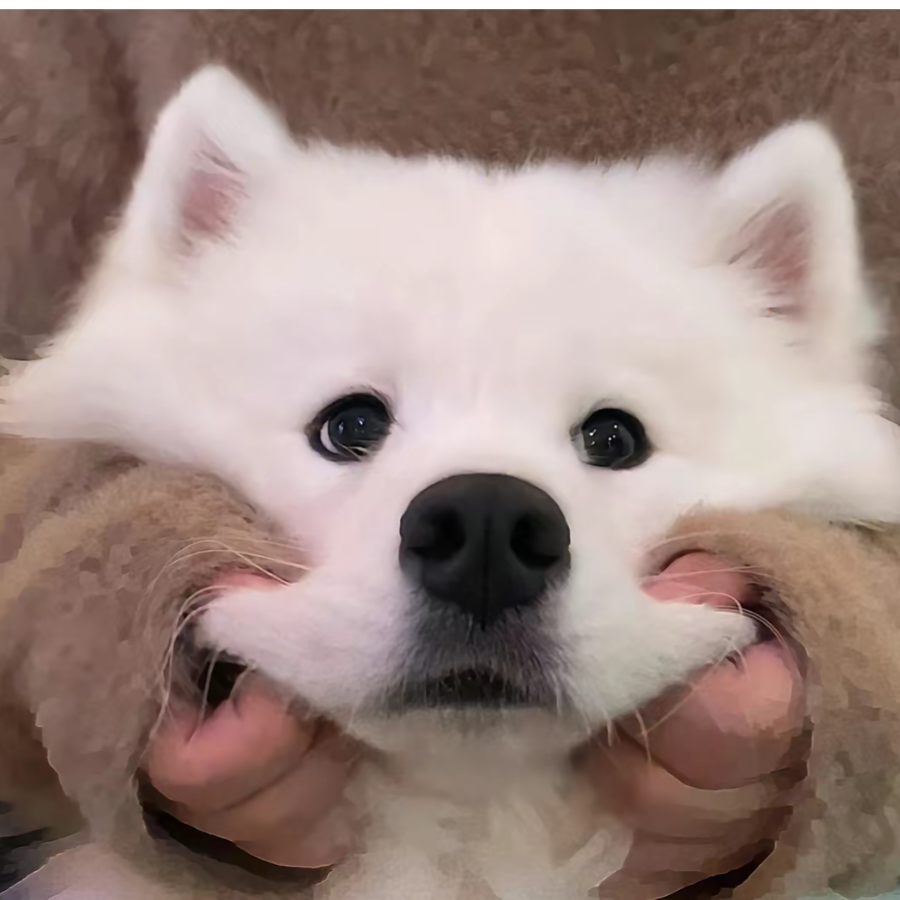 赤羽