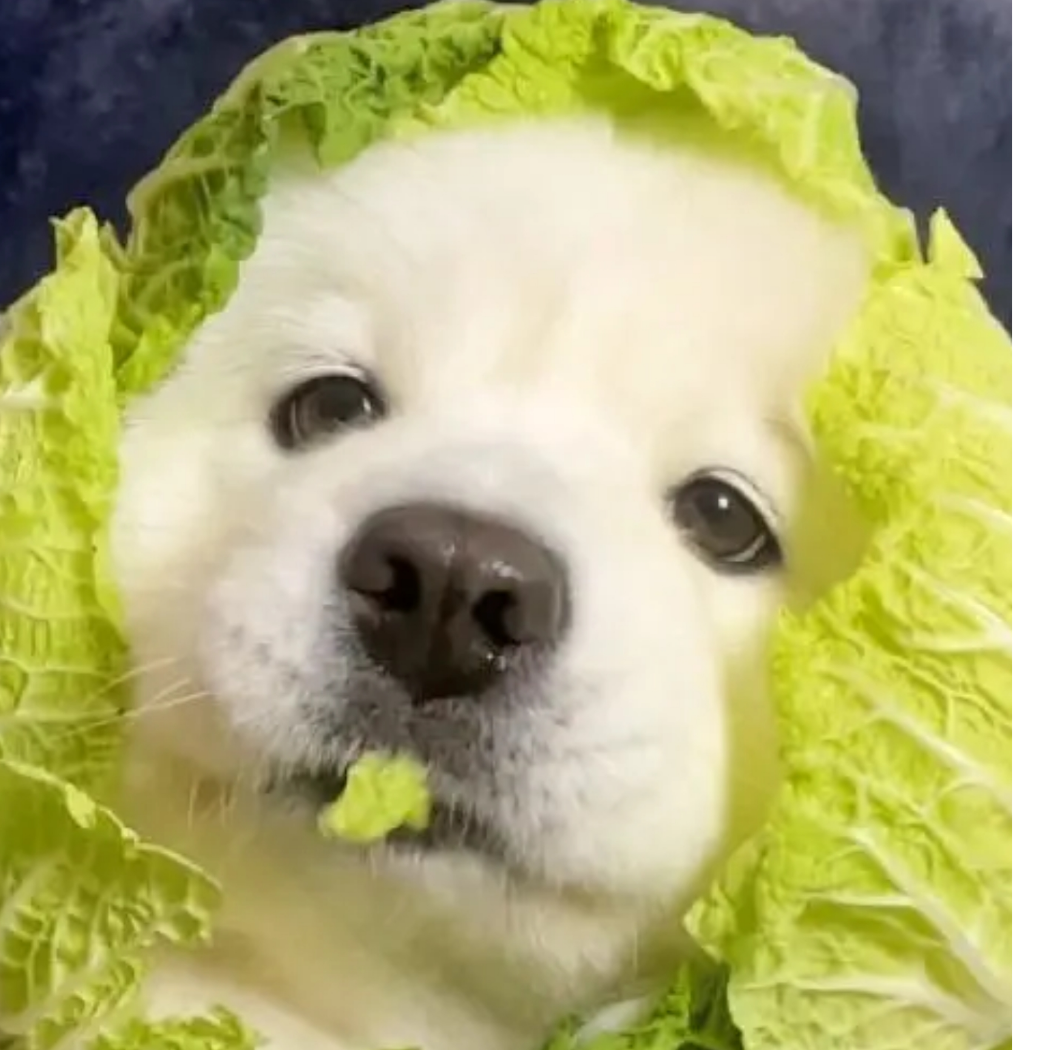 木uuu啊