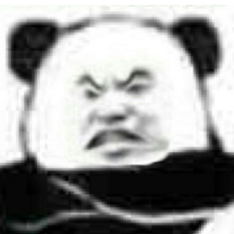 向井太6