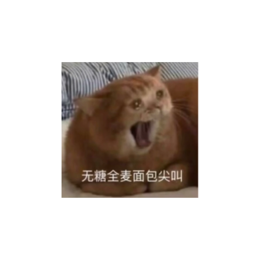 。。。。。