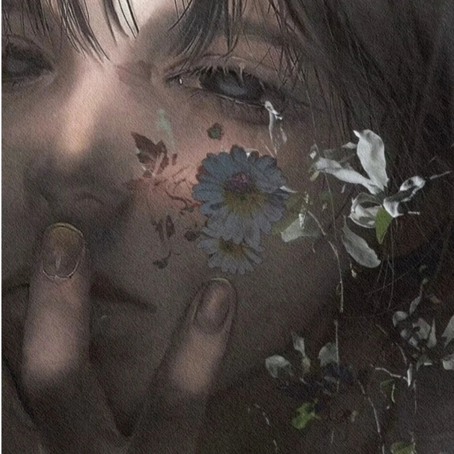 栖怡.