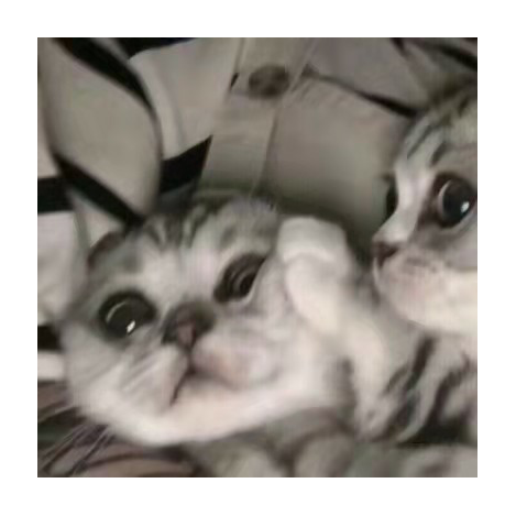 陌灰