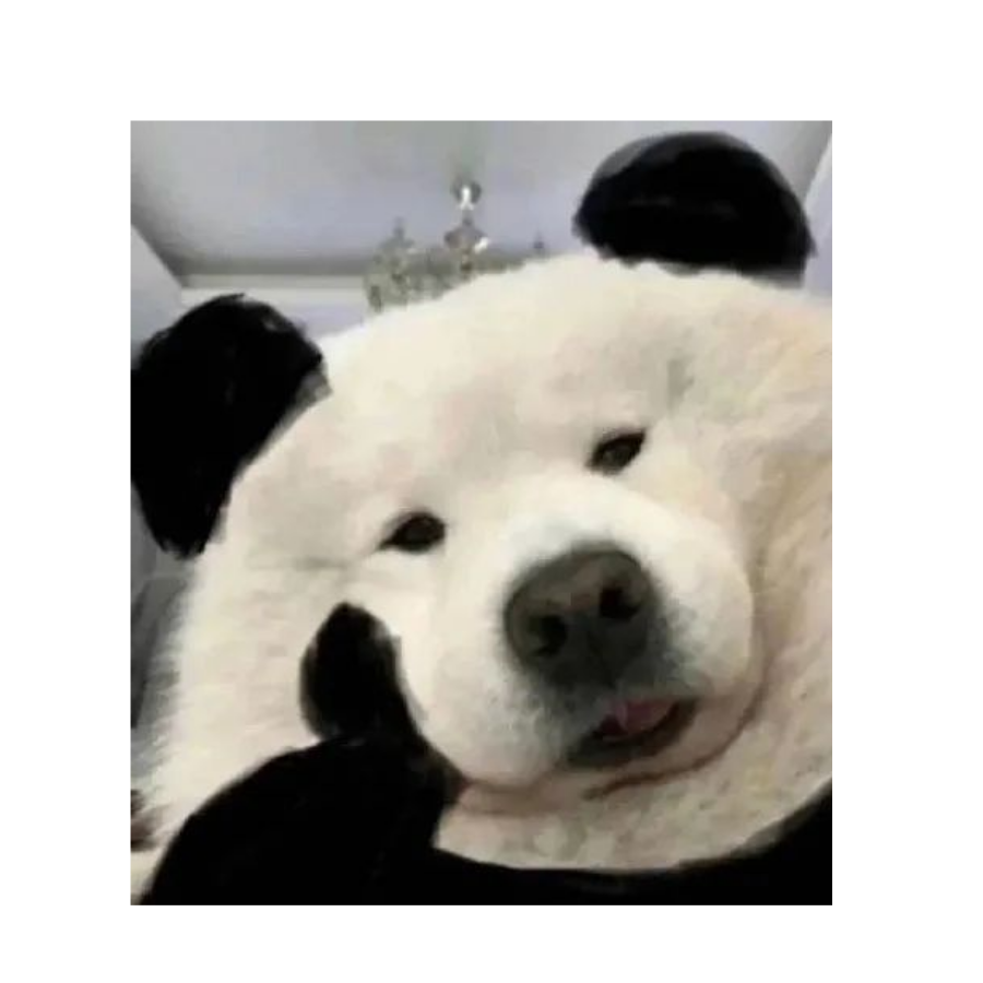 FANXQ