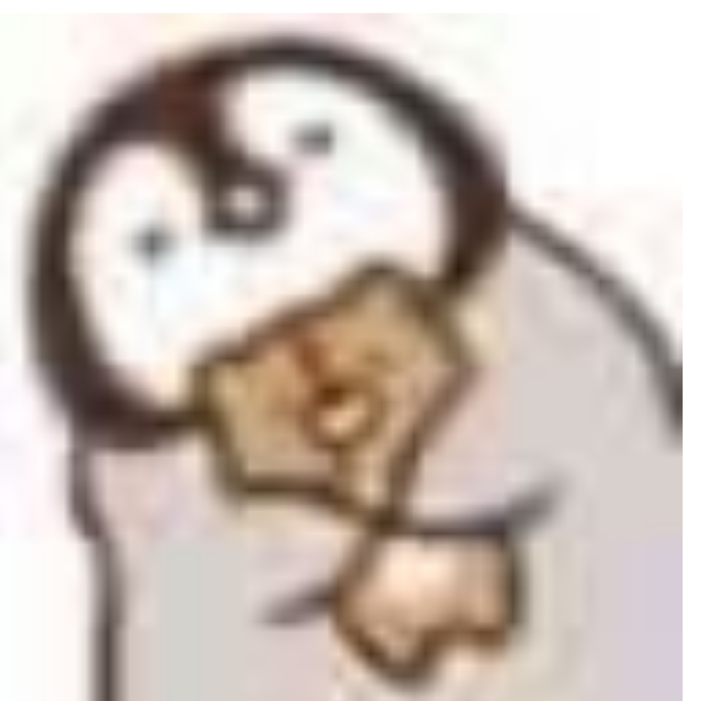 瓷
