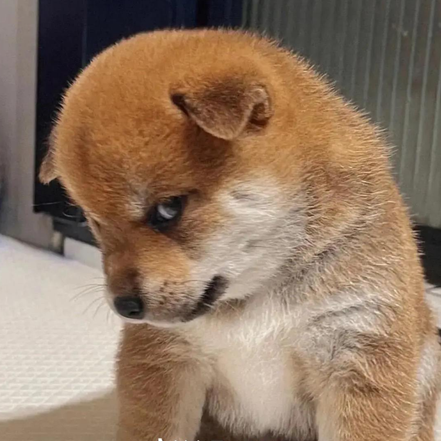 取名浪费脑细胞