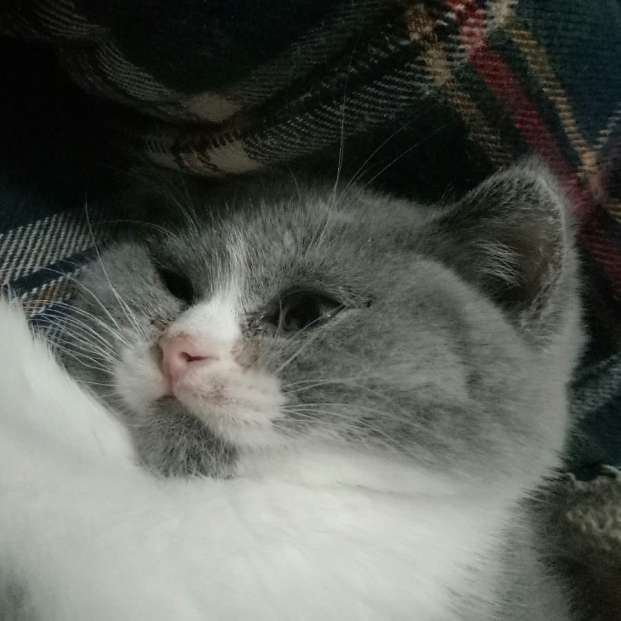 ～～～