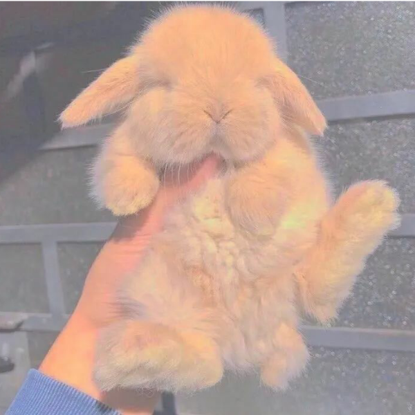 苏琳熙吖