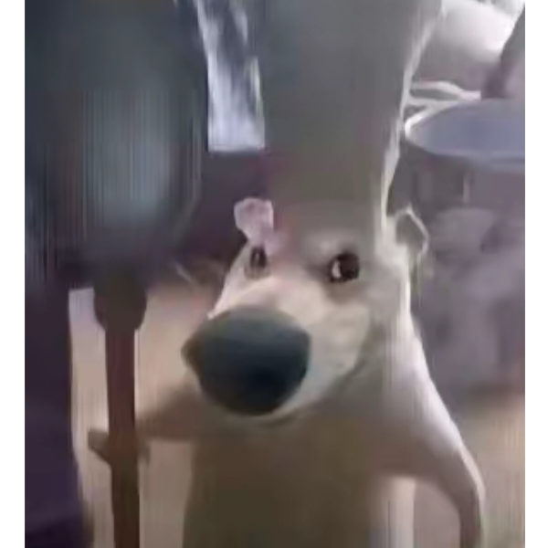 砖家