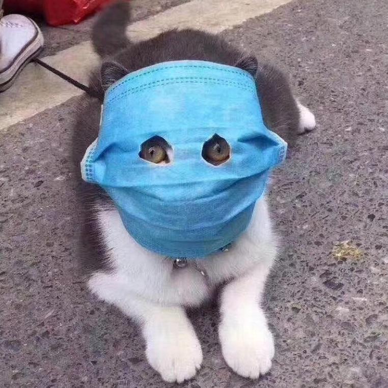 Rrr
