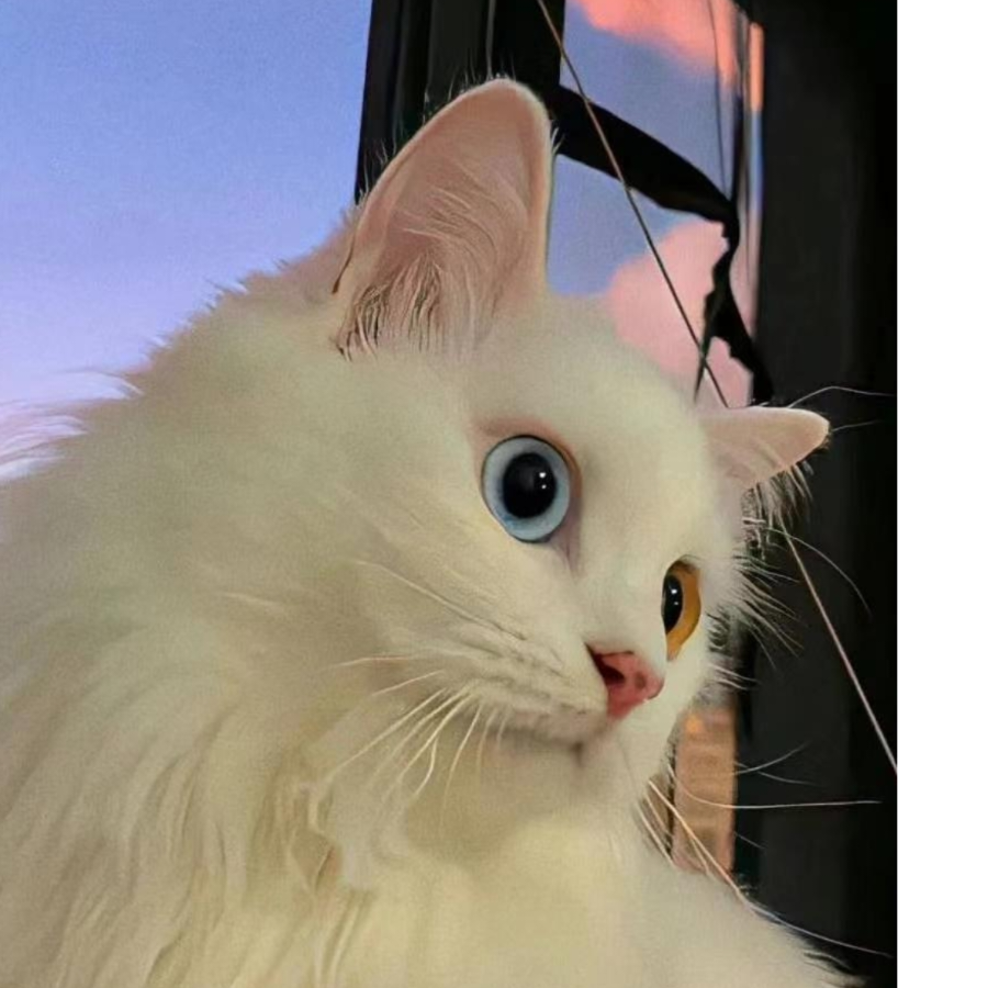 發