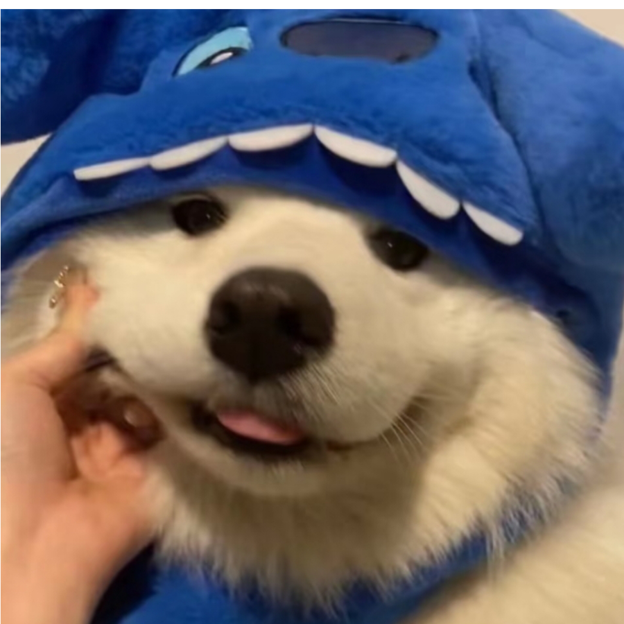 羽桉