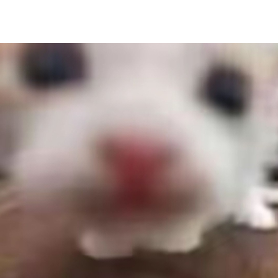 麦尔顿先森