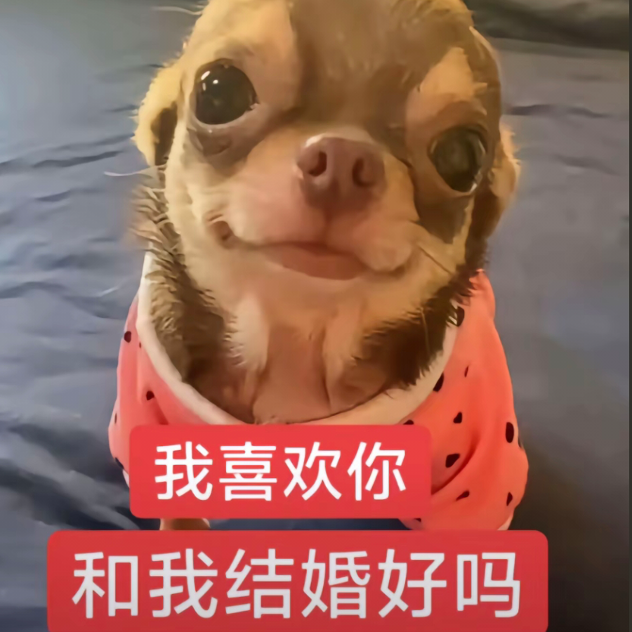 大米