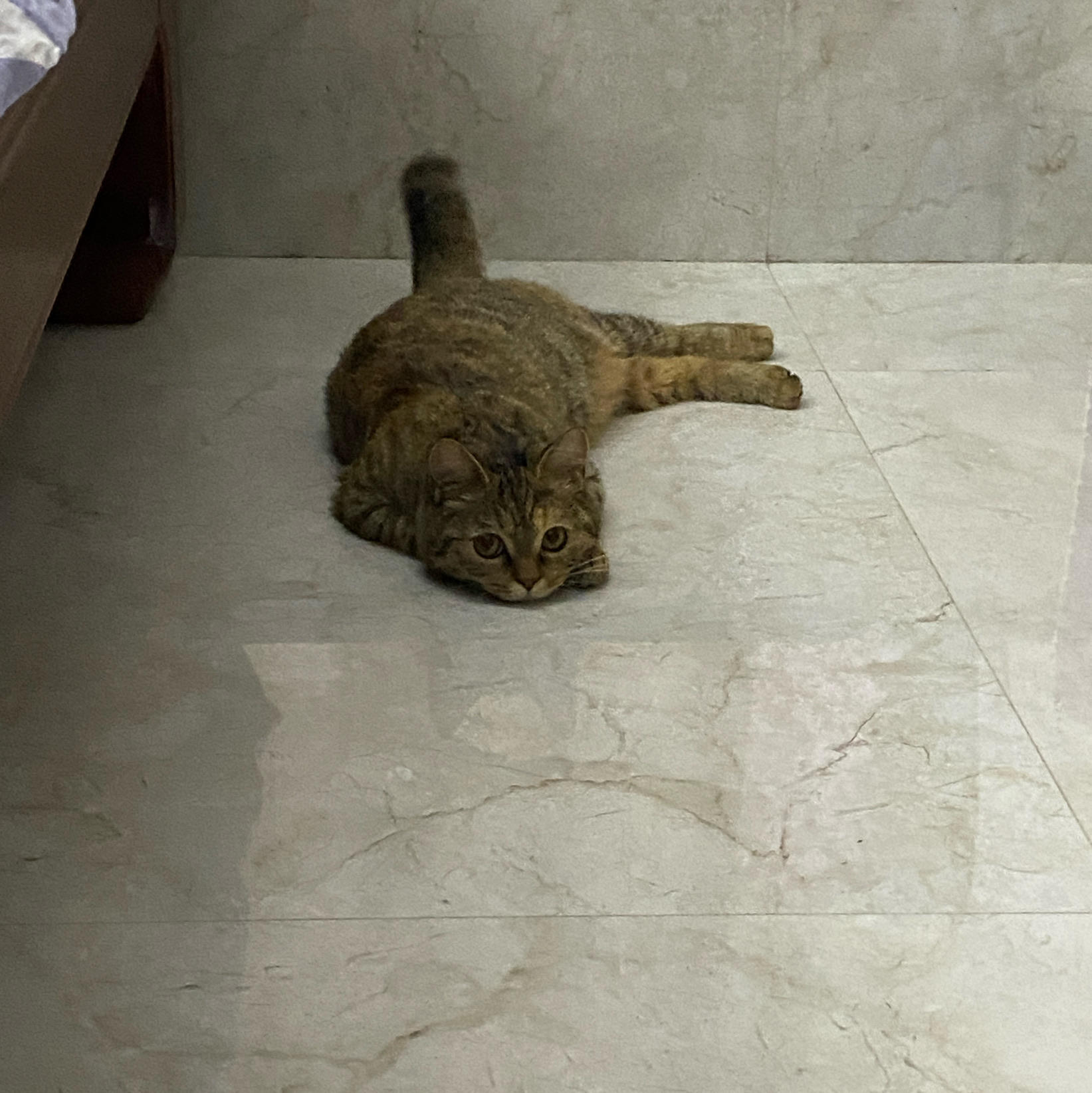 人气爆棚的修行者