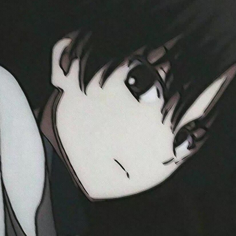 𝔾𝕦𝕚ℤ𝕚桂枝