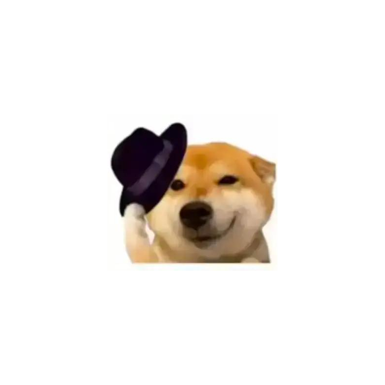 Ovo
