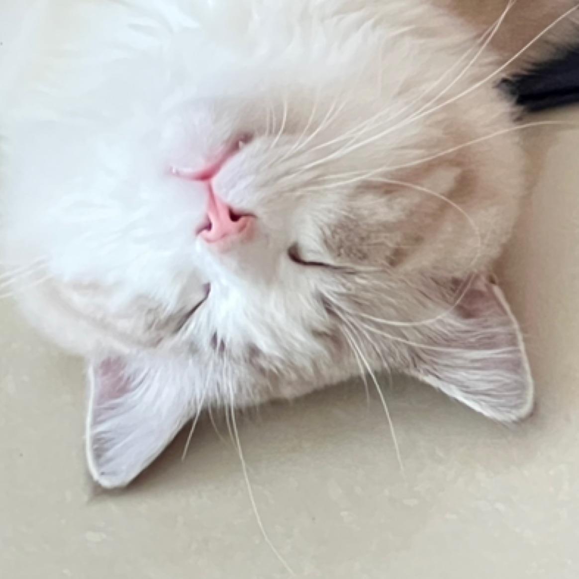 李文沁