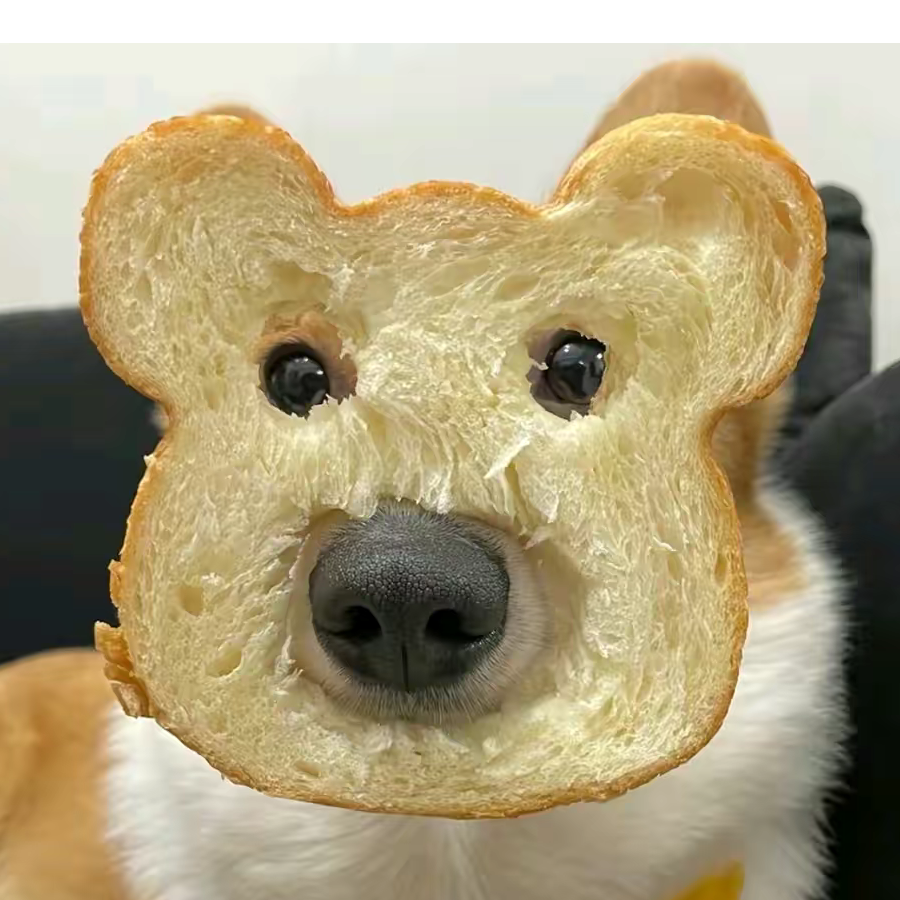 小豆芽呀