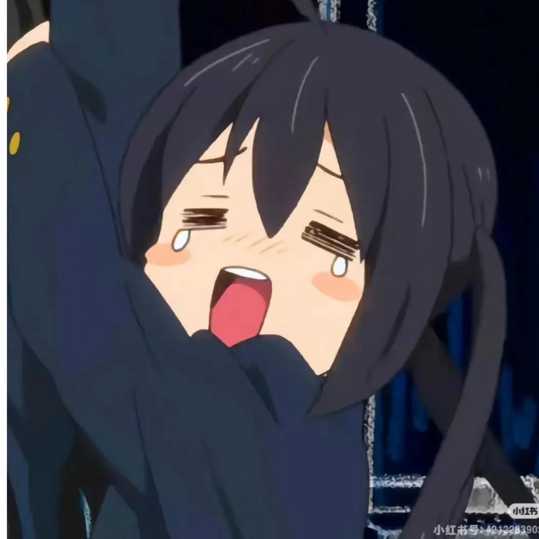 诖佳