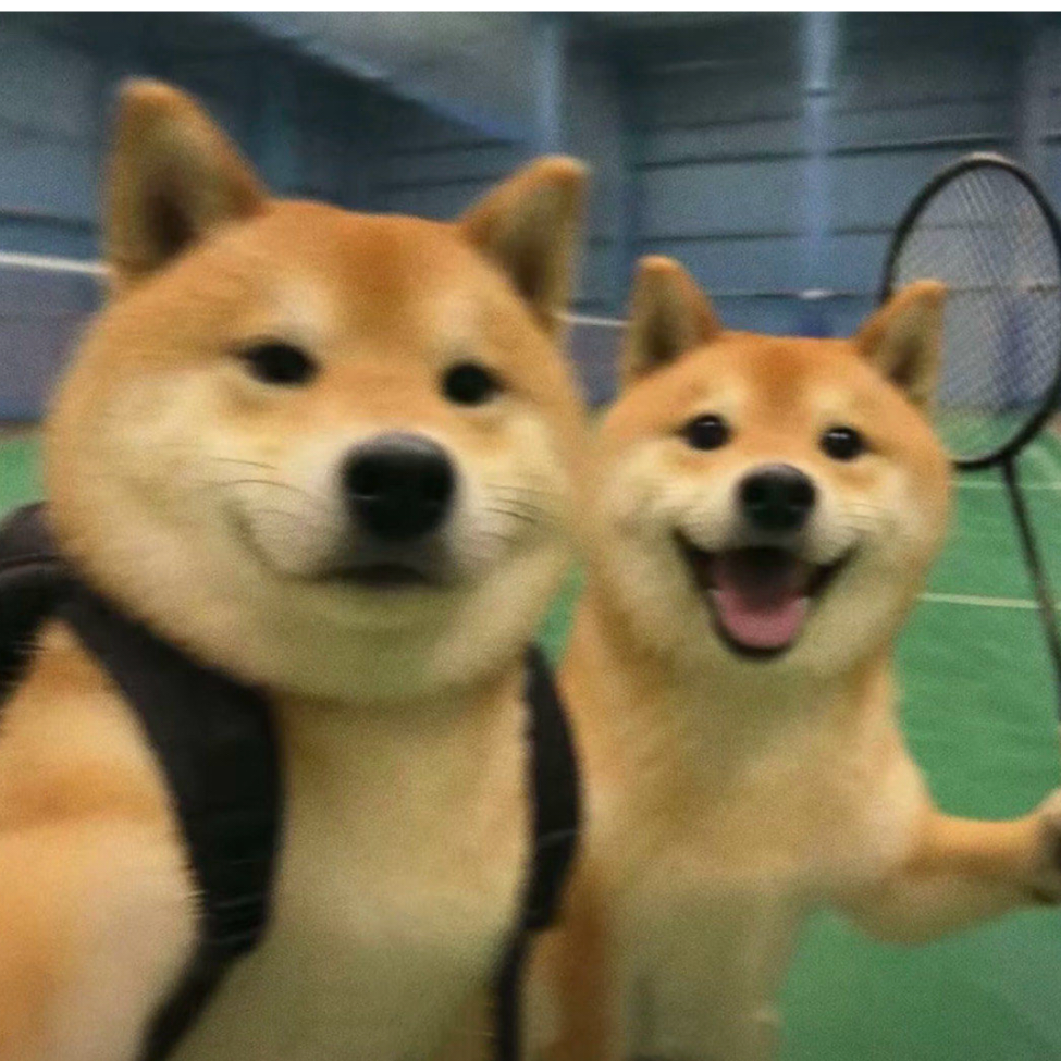 花花