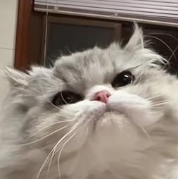 独一无二的新人类
