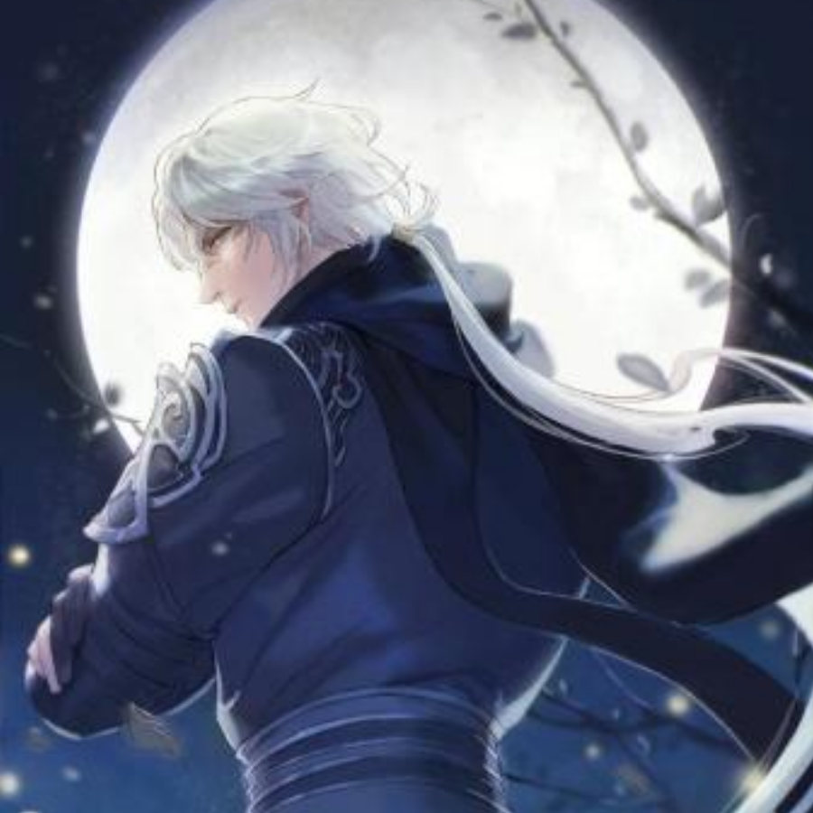 柒七Stein